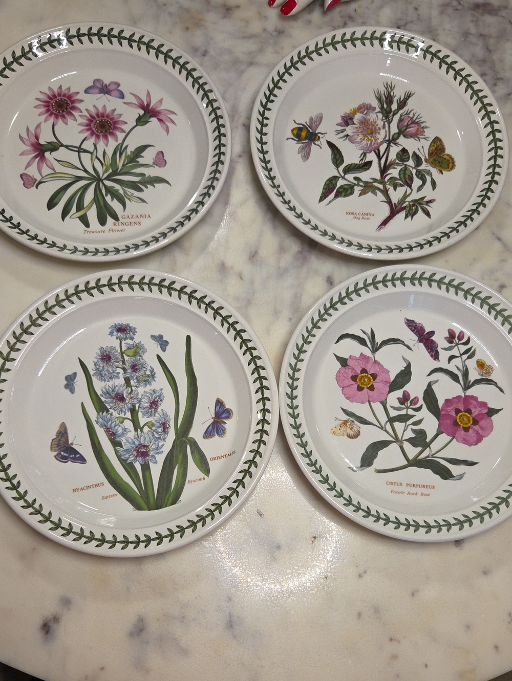 Vintage Portmeirion The Botanic Garden Floral Salad Plates 1972 | Britian Set 4 - Picture 2 of 13